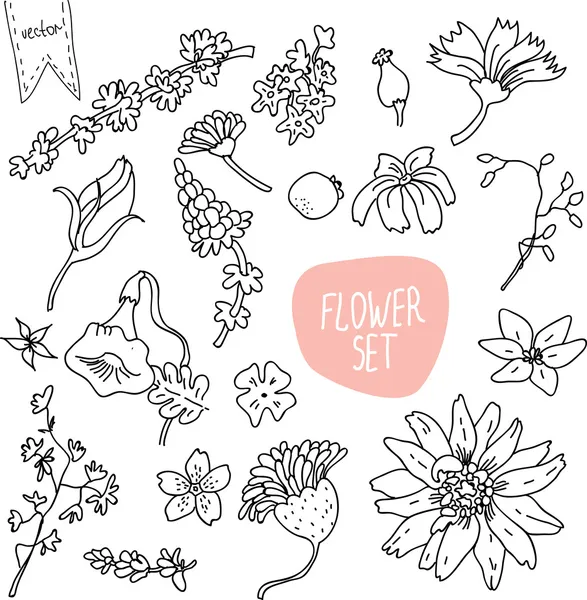 Set de flores de garabato vectorial — Archivo Imágenes Vectoriales