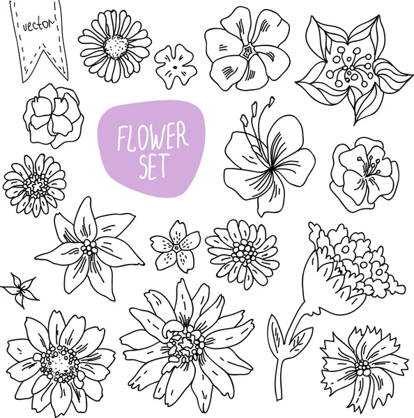 Conjunto de flores de doodle vetorial — Vetor de Stock