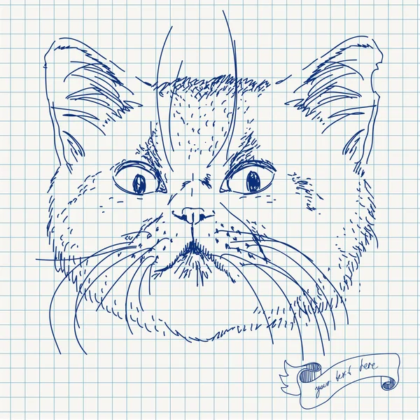 Testa di gatto vettoriale su carta quadrata — Vettoriale Stock