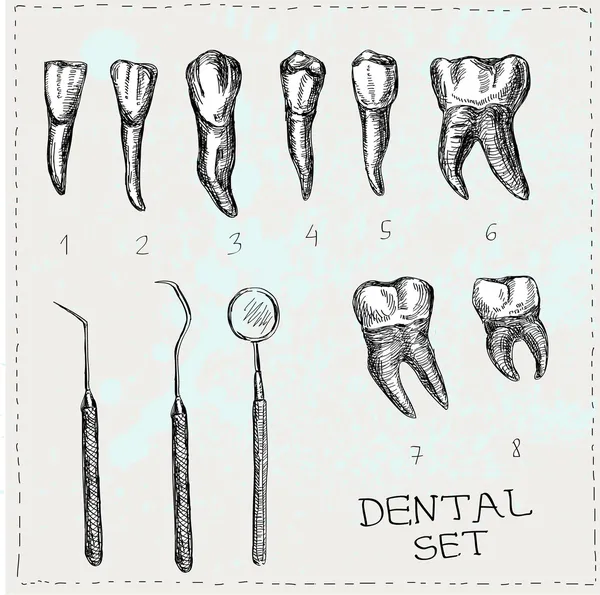 Conjunto dental en vector. Dientes y herramientas . — Archivo Imágenes Vectoriales