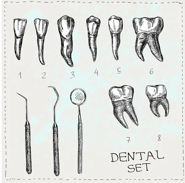 Dental set in vector. Teeth and tools. — Stock Vector