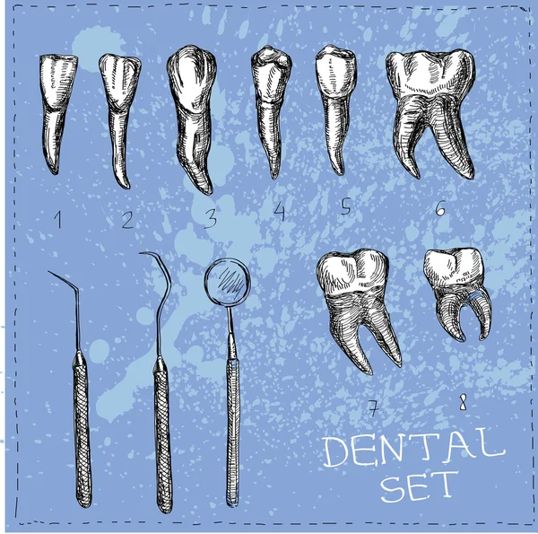 Conjunto dentário em vetor. Dentes e ferramentas . — Vetor de Stock