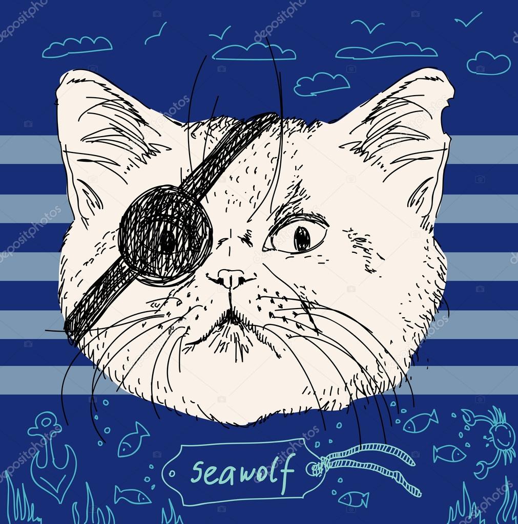 pirate cat on blue background