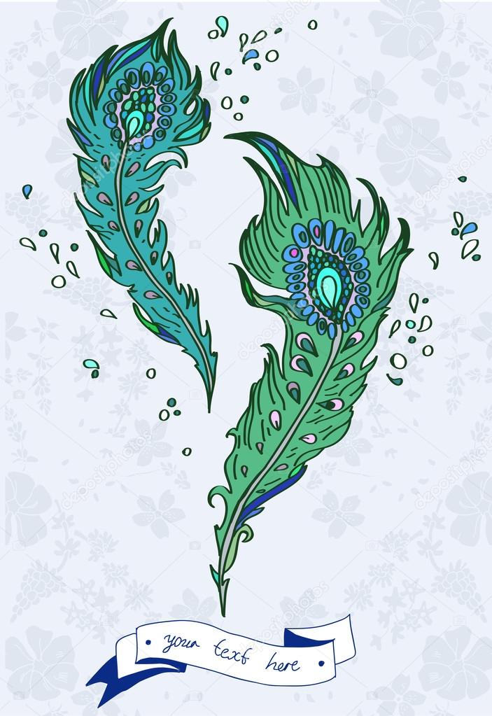 Vector illustration with peacock feather