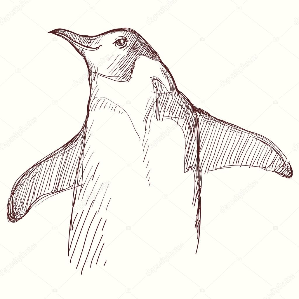 Engraving vintage penguin