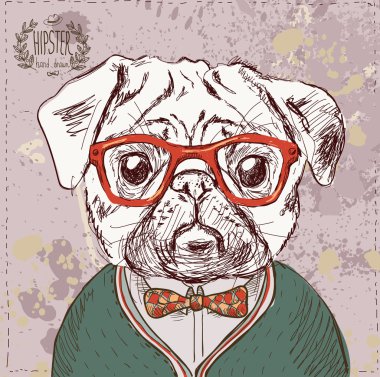 Vintage hipster pug köpek resmi