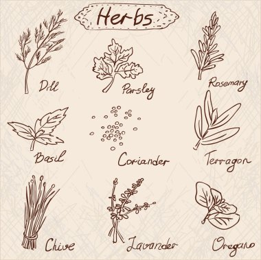 otlar ayarla, elle çizilmiş illüstrasyon vektör