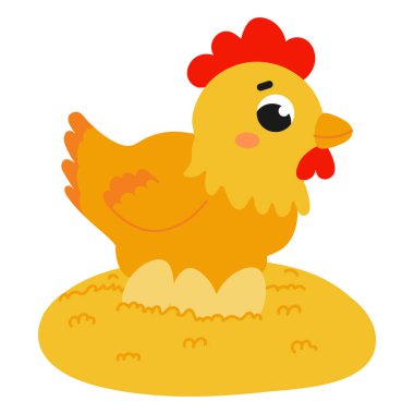 Yuvada oturan ve beyaz arka planda izole edilmiş çizgi film tarzında yumurta bırakan sevimli tavuk, çiftlik hayvanları veya kırsal yaşam tarzı konsepti