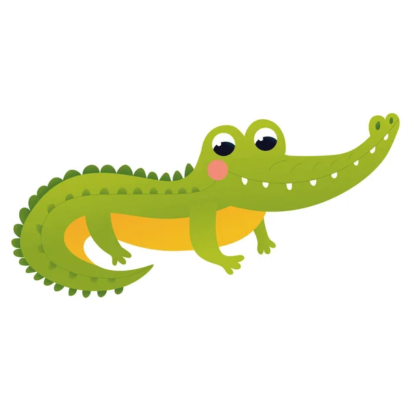 Мультфильм Крокодил Характер Детском Стиле Зоопарк Животных Изолированы Белом Фоне — стоковый вектор