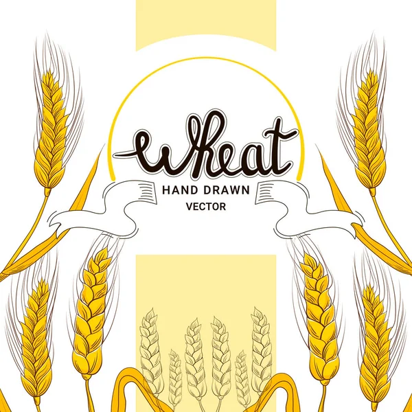 Weizenernte Handgezeichneten Stil Mit Schriftzug Für Bäckereishop Design Auf Weißem — Stockvektor