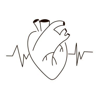 Human heart with heart beat pulse icon in outline style isolated on white background, medical health care concept for mobile and web
