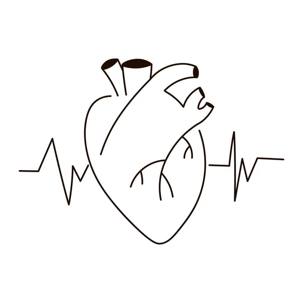 Human Heart Heart Beat Pulse Icon Outline Style Isolated White — Vetor de Stock