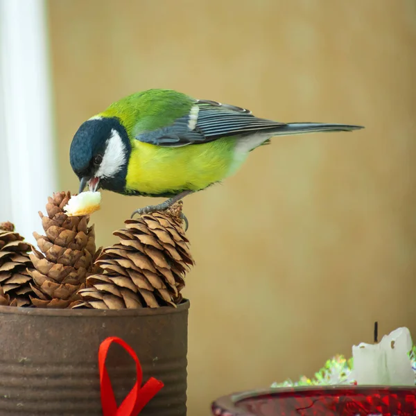Seekor burung titmouse makan di atas meja dengan dekorasi Natal Stok Foto