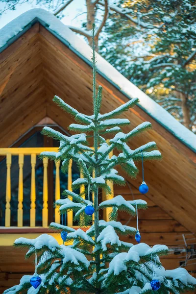 Ahşap Bir Evin Önünde Mavi Noel Oyuncaklarıyla Çam Ağacı — Stok fotoğraf
