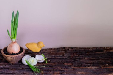 Yeşil yay, eski ahşap üzerine Paskalya süslemesi ve metin için boşluk