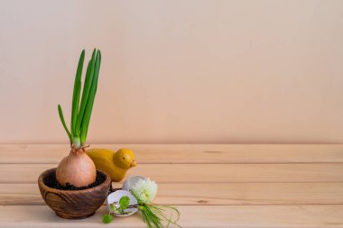 Metin için yeşil yay, Paskalya dekorasyonu ve boşluk