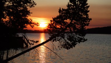 Lycksele 'de yaz günbatımı Ağaçlar arka planda 