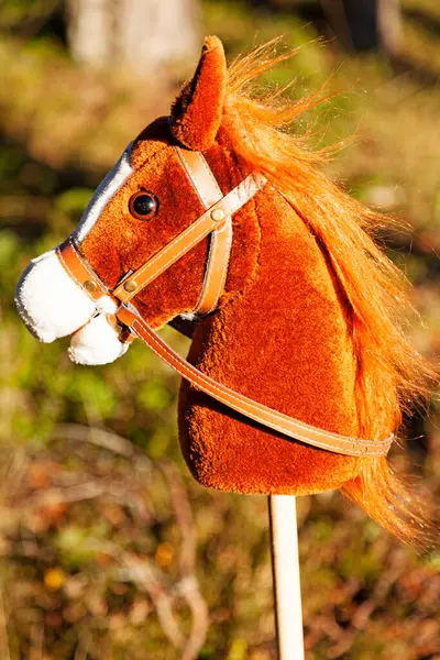茶色の棒の馬が — ストック写真