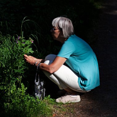 Umea, Norrland İsveç - 5 Temmuz 2020: gölgede çiçek toplayan yaşlı kadın 