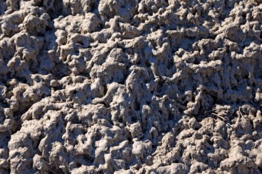 Uzun tüylü iplikçikli hamur parçaları.