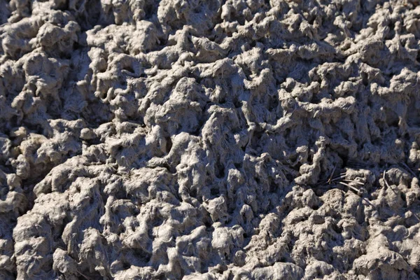 Uzun tüylü iplikçikli hamur parçaları.