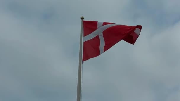 Danish Flag Blowing Wind — Stock Video