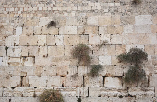 El Muro Occidental en Jerusalén —  Fotos de Stock