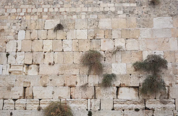 De westelijke muur in Jeruzalem Stockfoto