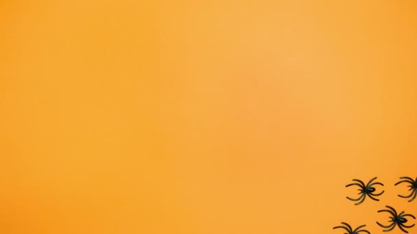 クモはオレンジの背景を這っている ハロウィーンの休日のコンセプト ストップモーションアニメーション — ストック動画