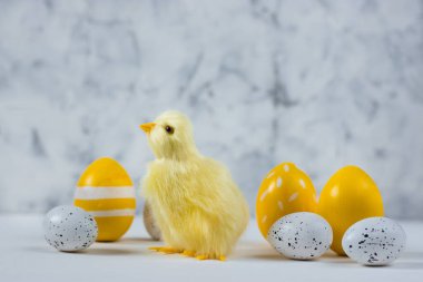 Renkli yumurta ve arka planda tavuk olan Paskalya kartı. Mutlu Paskalya kavramları. Boşluğu kopyala.