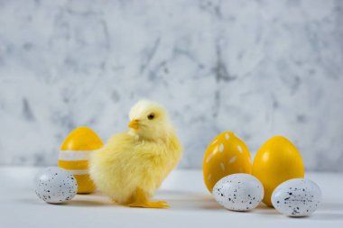 Renkli yumurta ve arka planda tavuk olan Paskalya kartı. Mutlu Paskalya kavramları. Boşluğu kopyala.