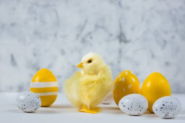 Renkli yumurta ve arka planda tavuk olan Paskalya kartı. Mutlu Paskalya kavramları. Boşluğu kopyala.
