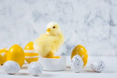 Renkli yumurta ve arka planda tavuk olan Paskalya kartı. Mutlu Paskalya kavramları. Boşluğu kopyala.