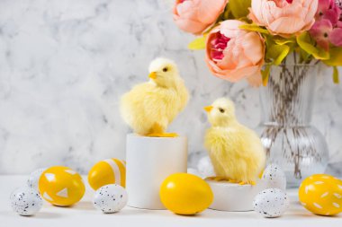 Renkli yumurta ve arka planda tavuk olan Paskalya kartı. Mutlu Paskalya kavramları. Boşluğu kopyala.