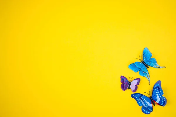 Papillons Décoratifs Sur Fond Jaune Vif Concept Saison Printemps Été — Photo