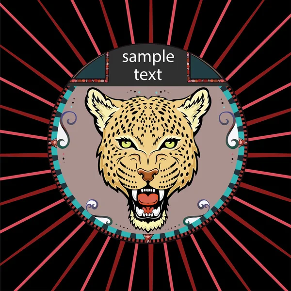bir daire içinde leopar portresi