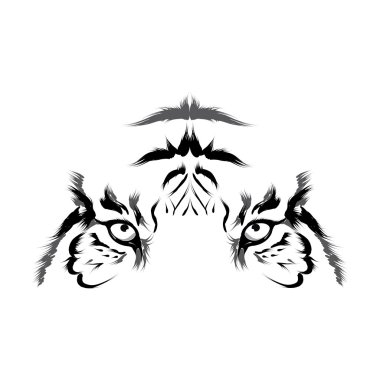 Kaplan (baş dış hat vektörü)