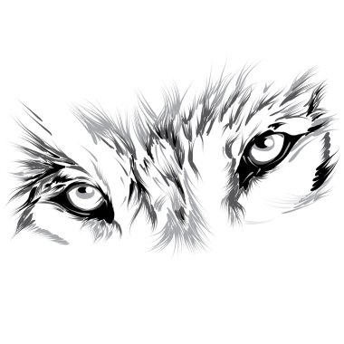 Wolf's face clipart