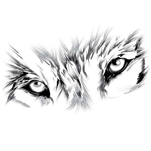 Cara de lobo — Vector de stock