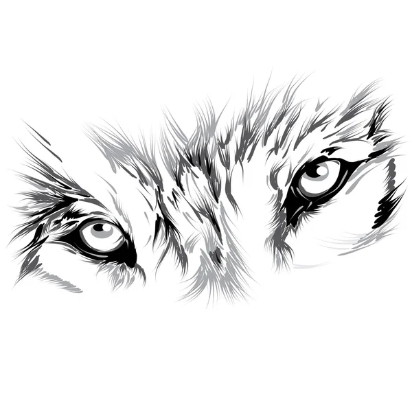 48 807 Wolf Vector Vector Images Wolf Vector Illustrations Depositphotos