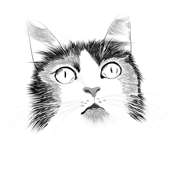 Schwarz-weiße Vektorillustration des Kopfes einer Katze — Stockvektor