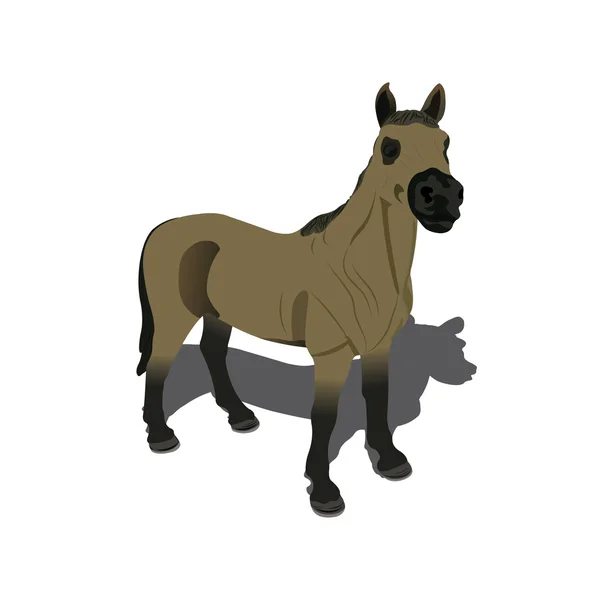 Vetor belo cavalo — Vetor de Stock
