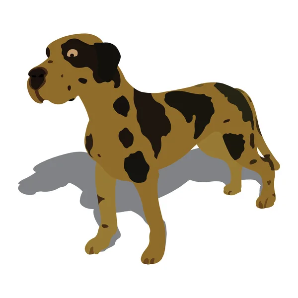 Ilustrație vectorială a câinelui — Vector de stoc