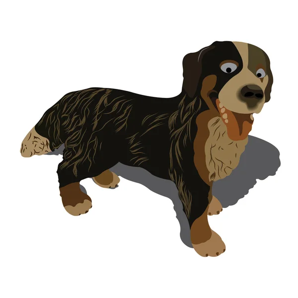 Vectorillustratie van de hond — Stockvector