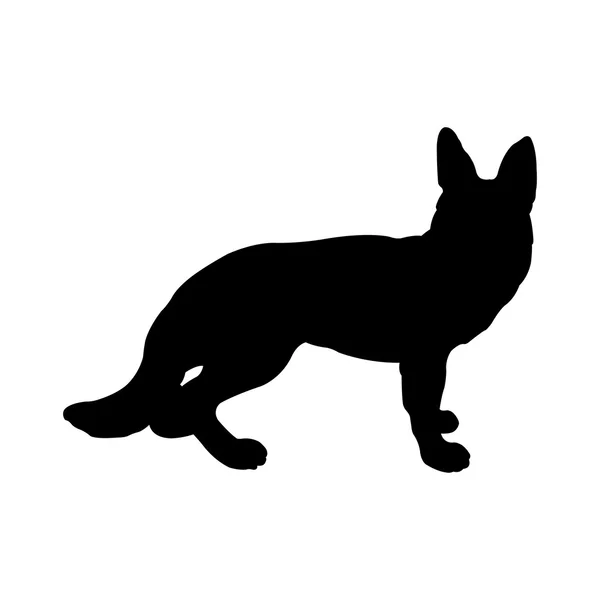 Fox silhouette — Stock Vector