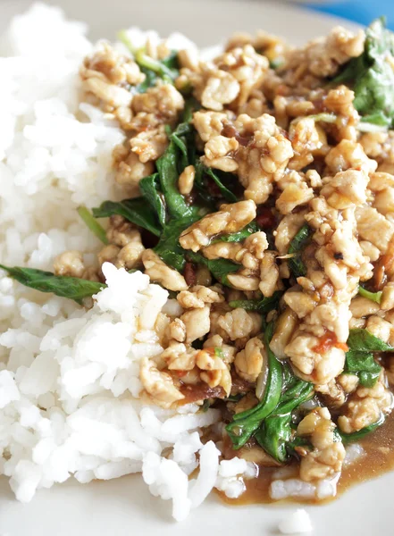 Stir-fried pork with holy basil — Stock Photo, Image