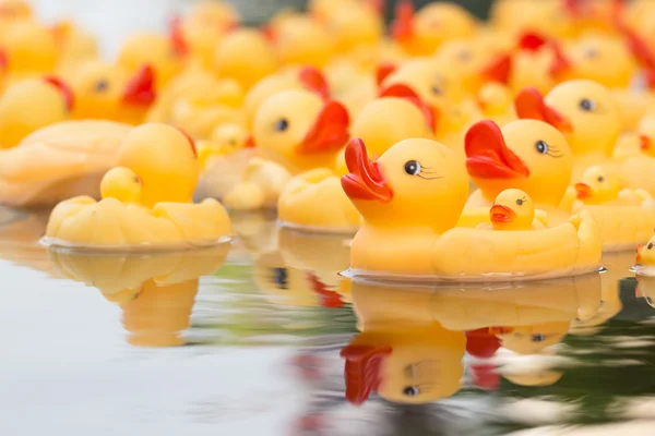 Plastic yellow duck toy — Stock Photo, Image