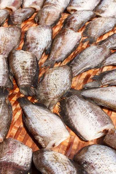 Peces gourami de piel de serpiente de secado — Foto de Stock