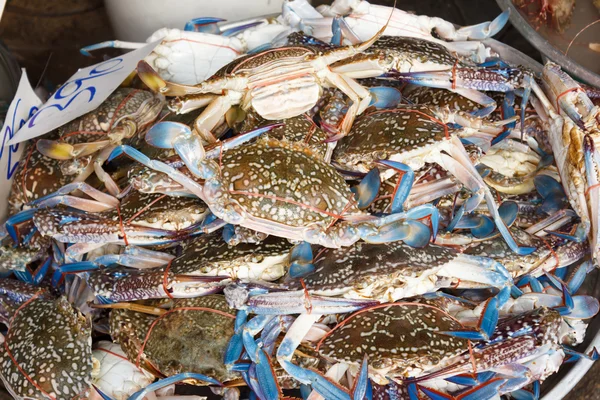Rohe Krabben auf dem Fischmarkt — Stockfoto