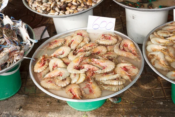 Shrimp at seafood market — Stock Photo, Image